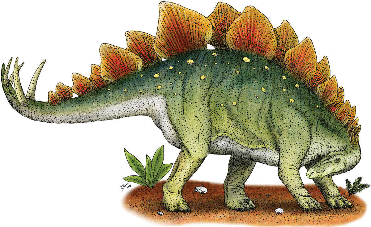 Fossil biomolecules provide insights into which dinosaurs were warm- or  cold-blooded