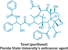 Structure of Taxol