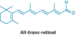 A Structure of All-trns-retinal