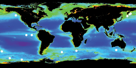 Data from NASA SeaWIFS Project