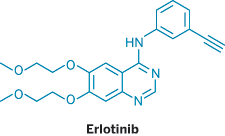 Structure of Eriotinib