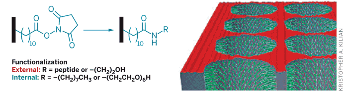  Researchers created a hydrophobic monolayer on the material's internal and external pore surfaces (black bars). Then both external (red) and internal (green) surfaces were selectively functionalized with two different moieties.