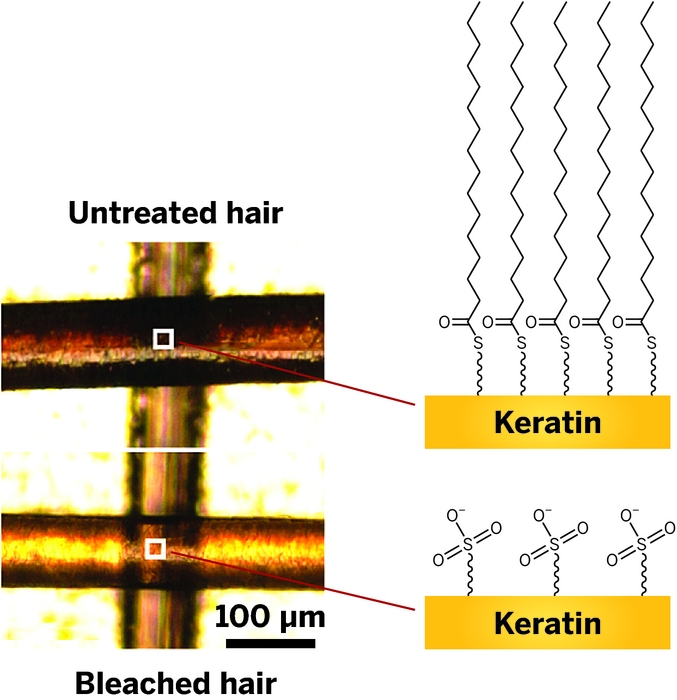 chemistry of hair
