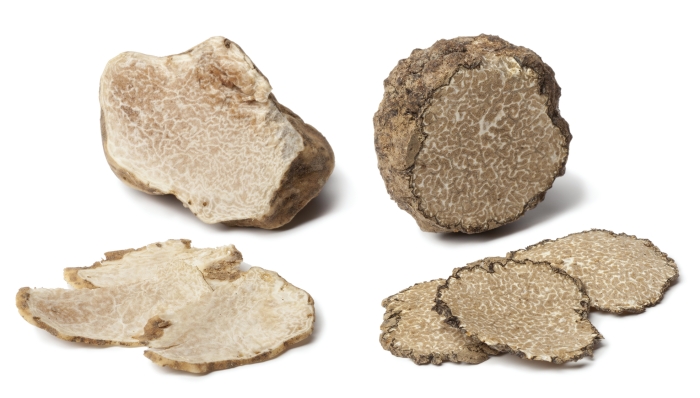 What are black and white truffles