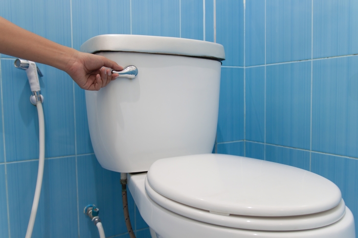 The Best Flushing Toilet in America