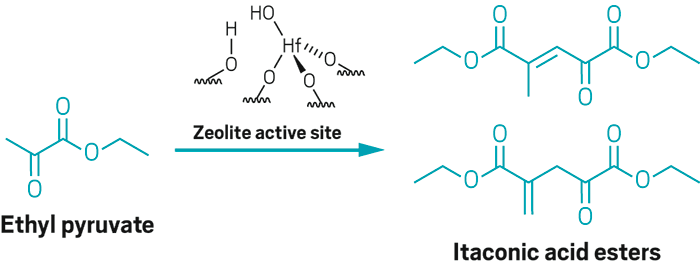 Reaction scheme shows hafnium zeolite active site for converting ethyl pyruvate to itaconic acid analogs.