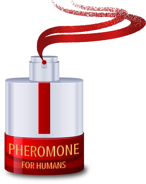 What will it take to find a human pheromone?