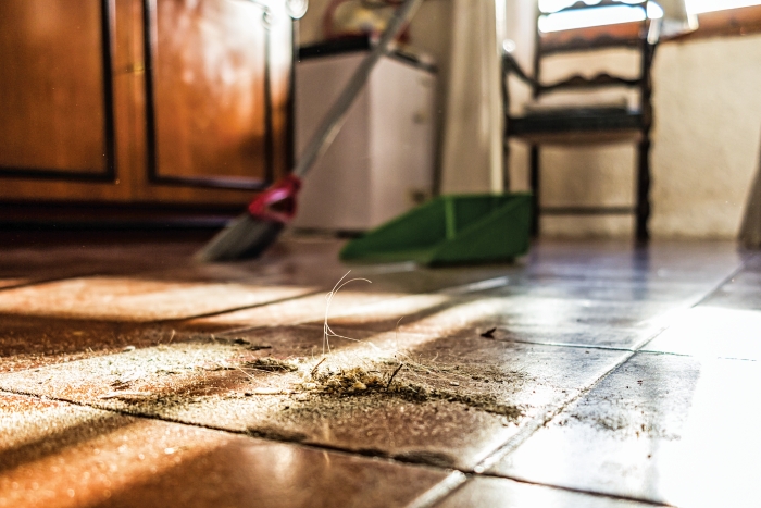 Tracing the chemistry of household dust