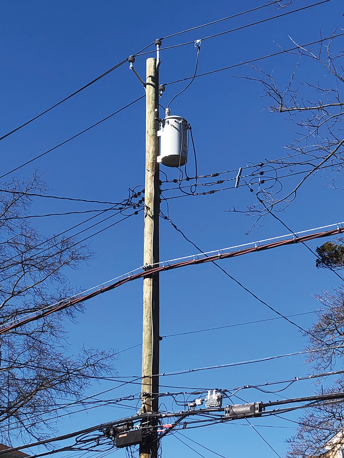 Pentachlorophenol Is On Its Way Out As A Utility Pole Preservative Heres What Might Take Its Place