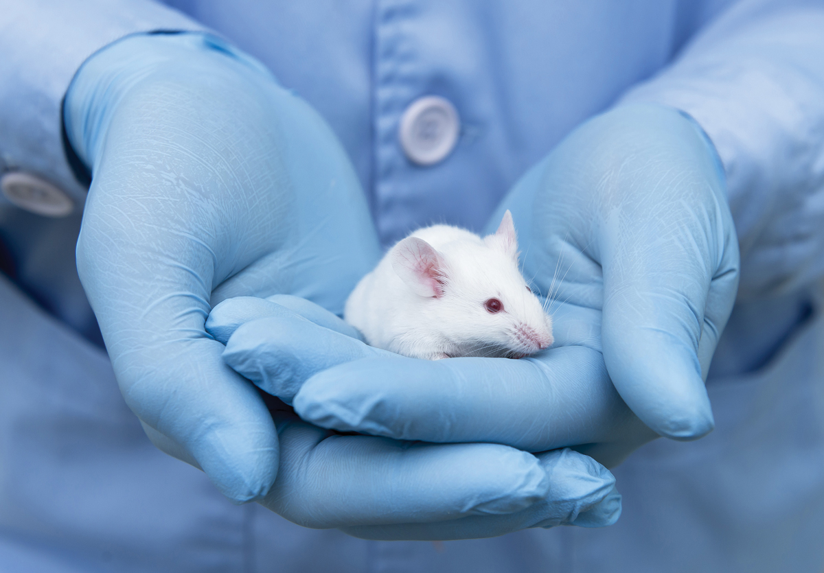 First animal-free toxicity test emerges