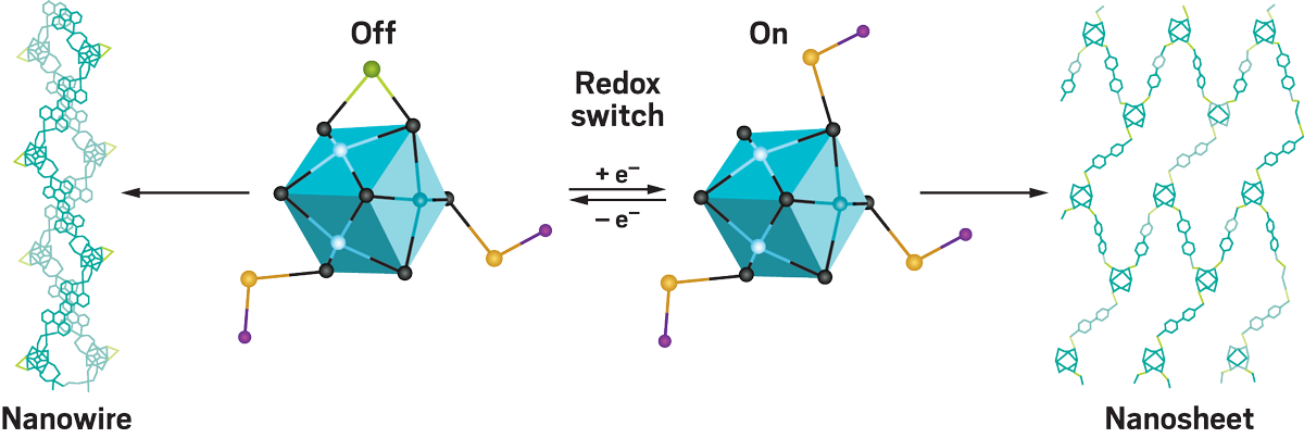 Research at a glance: By adding or removing electrons, Alexandra Velian can change the coordination around molecular clusters. This change shifts the geometry around the cluster, which in turn causes the overall material to change form—for example, from a nanowire to a nanosheet. Black = selenium, blue = cerium, yellow = zinc bound to ligand, purple = ligand, and green = zinc not bound to ligand.