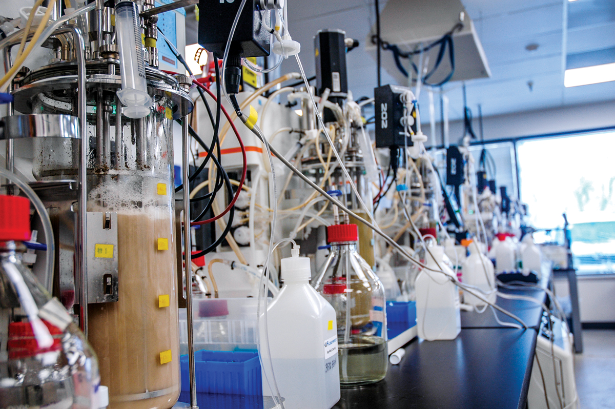 DMC Biotechnologies operates a fermentation laboratory in Research Triangle Park, North Carolina.