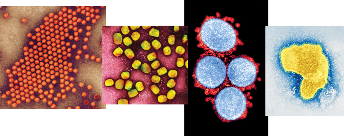 A collage of images of the polio, mpox, COVID-19, and respiratory syncytial virus.