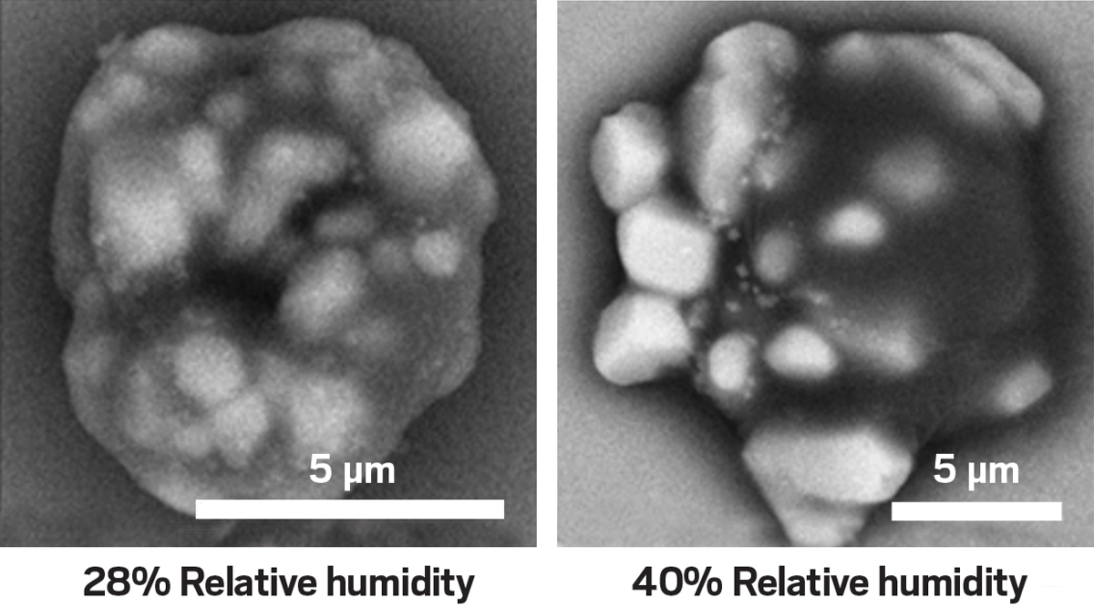 Micrographs of two droplets, one at 28% relative humidity and the other at 40%.