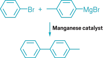 Carola Santilli and coworkers' proposed scheme for the manganese catalysis of Grignard reagents.