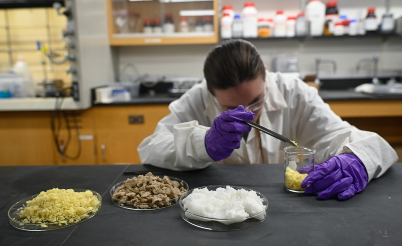 A person in a lab coat and gloves uses a tool to pick up yellow material in a beaker. Large petri dishes of yellow, brown, and white material sit on a table in the foreground.