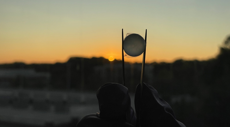 A circle of material is held in tweezers in front of a sunset.