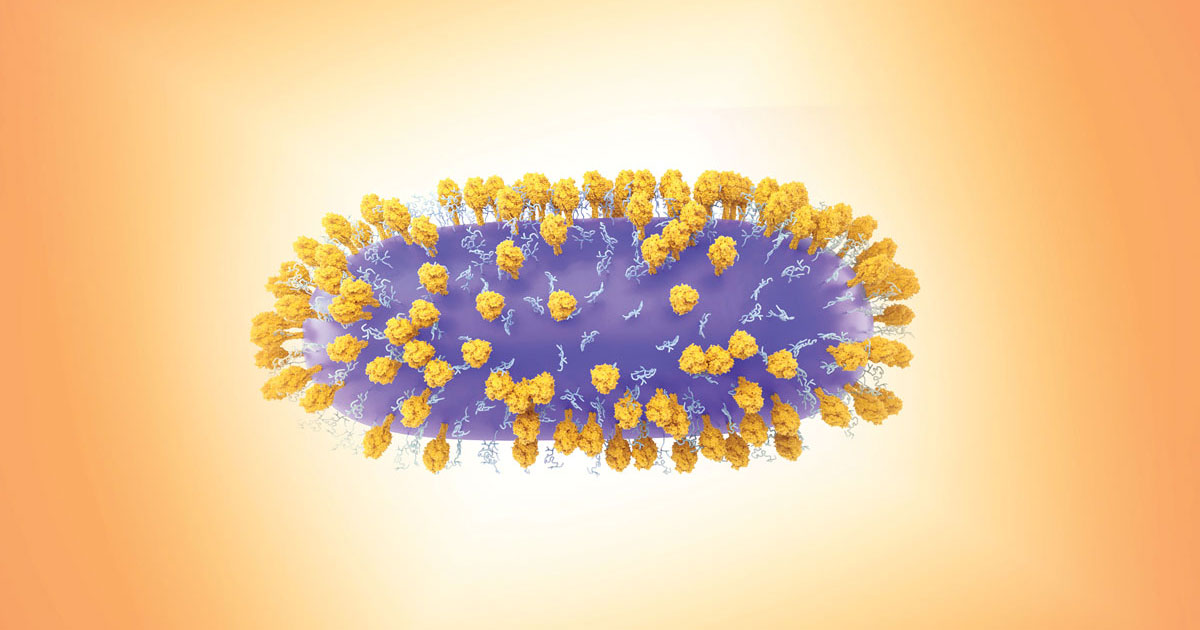 An oblong virus particle covered in spike proteins.