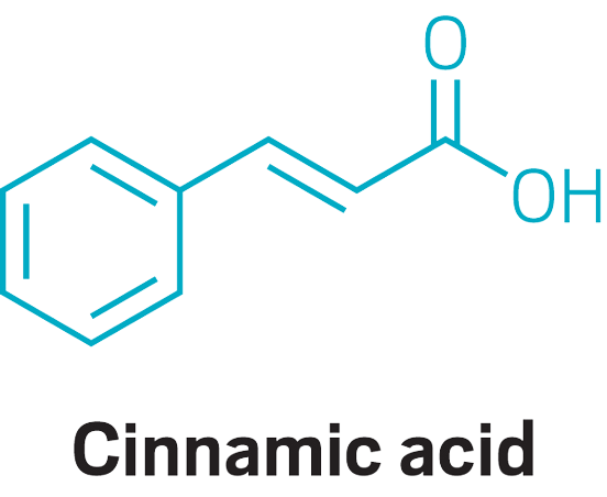 cinnamic-acid