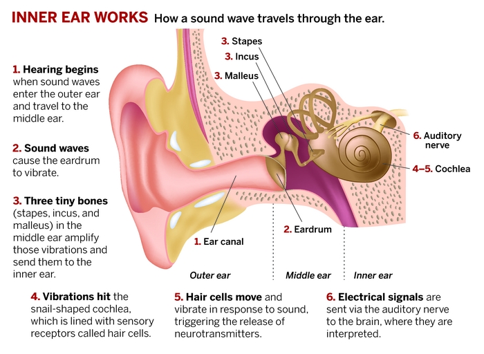how does music travel through headphones