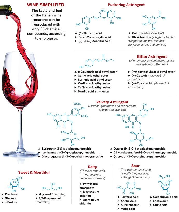 PDF) Chemical composition of Cabernet Sauvignon and Merlot grapes