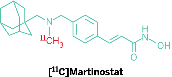 [11C]Martinostat, a molecule that binds to histone deacetylases