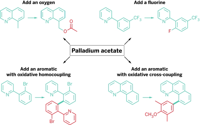During grad school, Hull helped develop a palladium catalyst that, under various conditions, could functionalize C–H bonds in molecules with fluorines, aryls, and other groups.