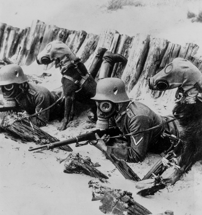 Both German soldiers and military dogs were issued protective gas masks.