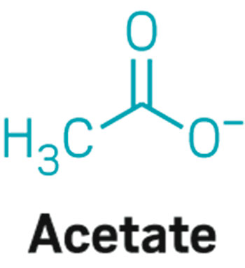 acetato