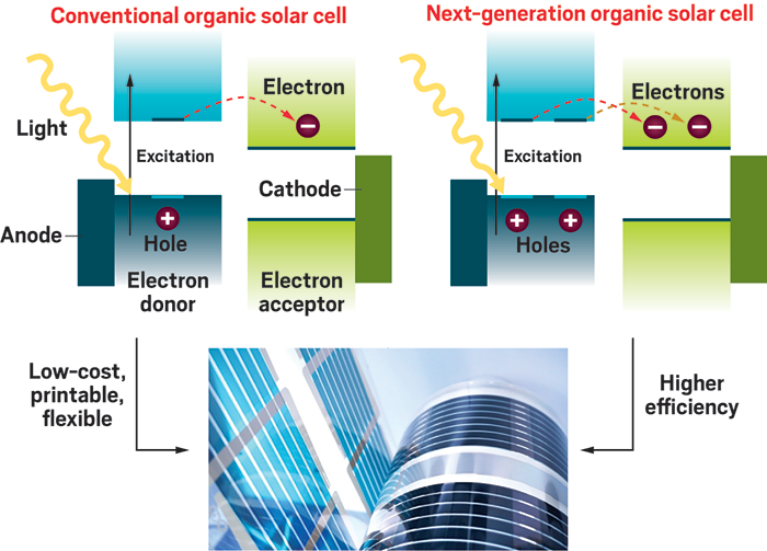 Organic solar cells contain electron donors and acceptors sandwiched between electrodes. These electron-shuffling groups can either exist in separate layers or within the same molecule. Campos’s group develops donors and acceptors that work together to generate two pairs of electronic charge carriers (right) from a single photon of sunlight—a boost in efficiency compared with conventional materials (left and bottom).