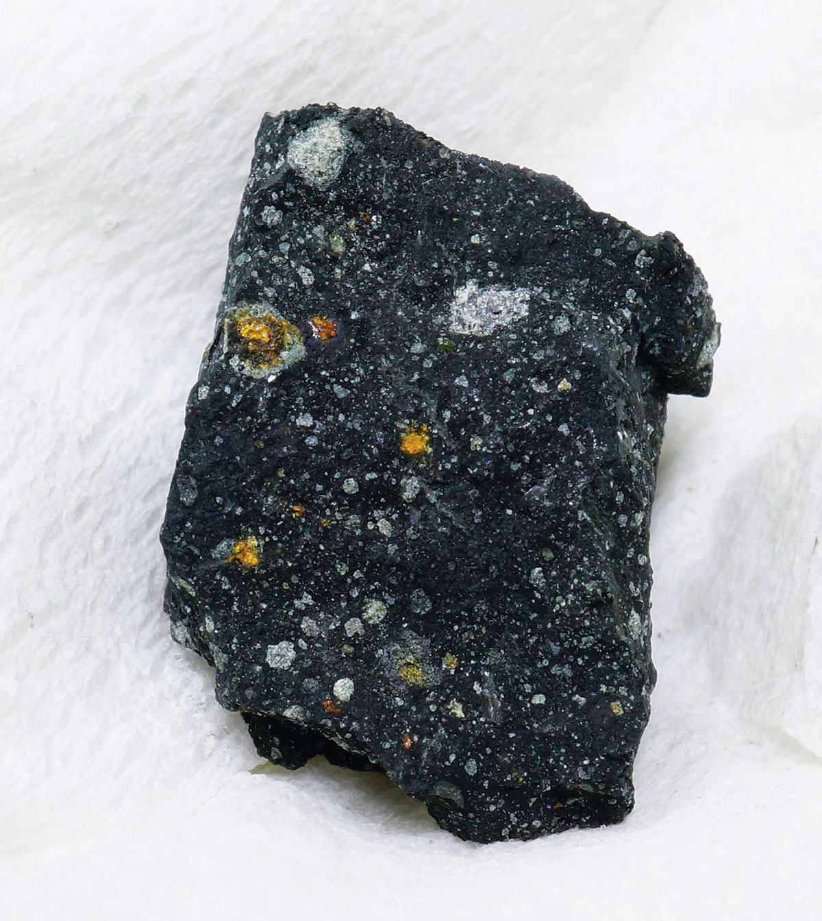 09746-scicon10-meteorite