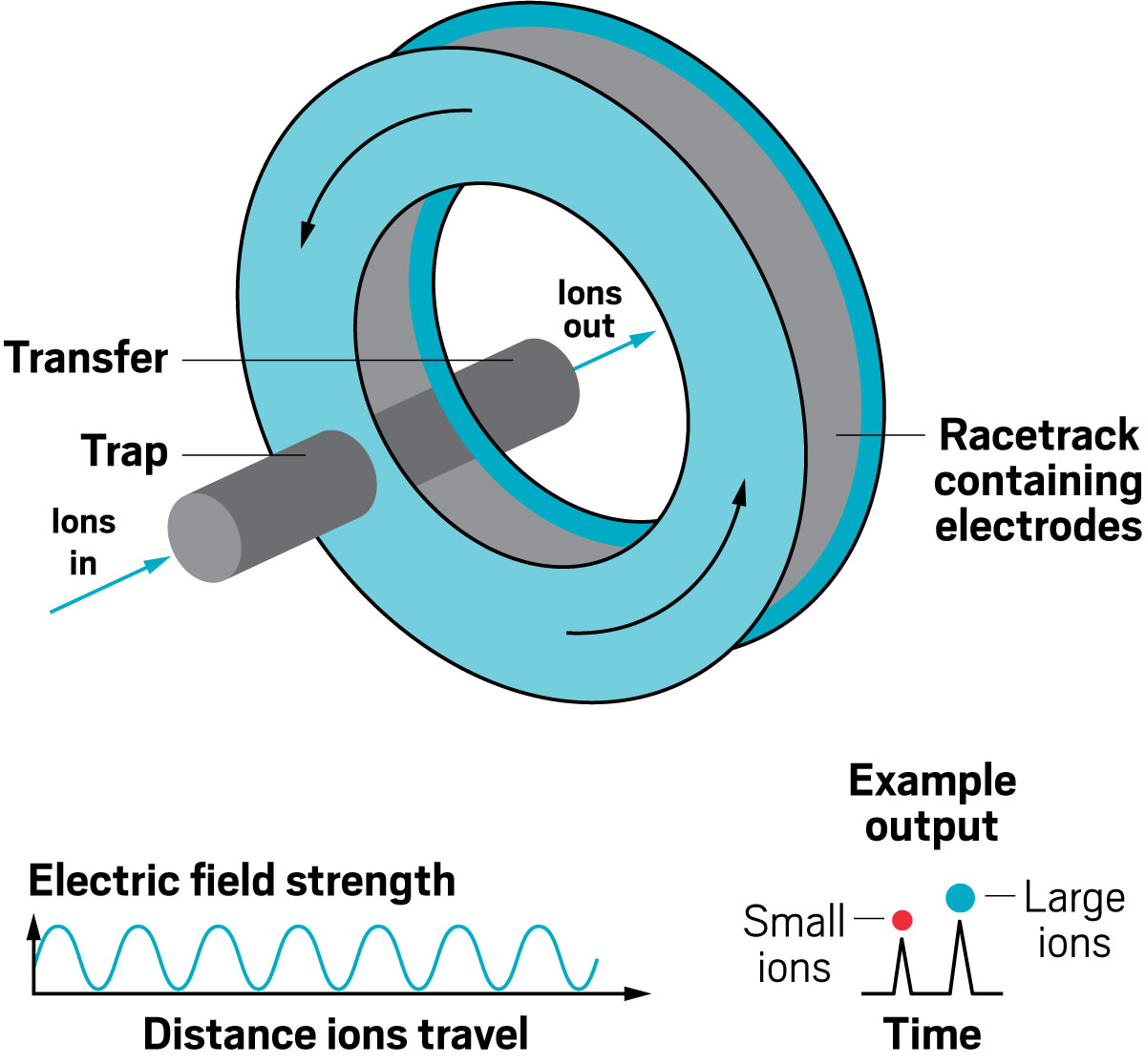 Cyclic ion mobility is a geometric variant of TWIMS in which ions are sent around a racetrack. In this version, a continuously varying electric field is still used to separate ions, but it travels around the racetrack instead of linearly. The device achieves a higher resolving power because it can send ions around the cycle multiple times. Just as with standard traveling wave devices, smaller ions usually elute faster than larger ions. The elution order can change, however, if smaller, faster ions lap larger, slower ions. To remove that possibility, scientists can selectively inject small groups of mass-selected ions into the racetrack, or they can selectively eject from the cyclic device ions that are outside the mobility range of interest.