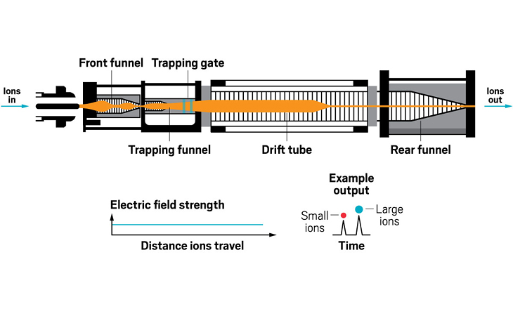 Because they’ve been tinkered with the longest, drift tubes are the best understood form of ion mobility spectrometry. Inside a drift tube, a constant, homogeneous electric field is applied to a tube filled with a buffer gas, such as helium or nitrogen. As ions travel through the tube, collisions with the buffer gas slow their movement. Larger ions undergo more collisions and thus travel more slowly. Smaller, more compact ions come off the tube to arrive at the mass spectrometer’s analyzer first. Data analysis methods involving multiple ion packets increase the effective resolving power to more than 150.