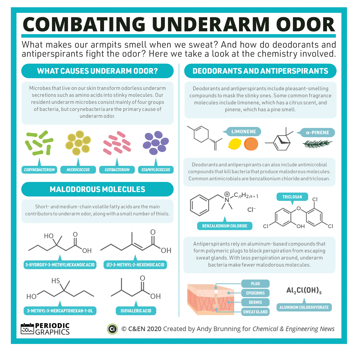 A graphic detailing the various components of body odor, deodorants, and antiperspirants. 