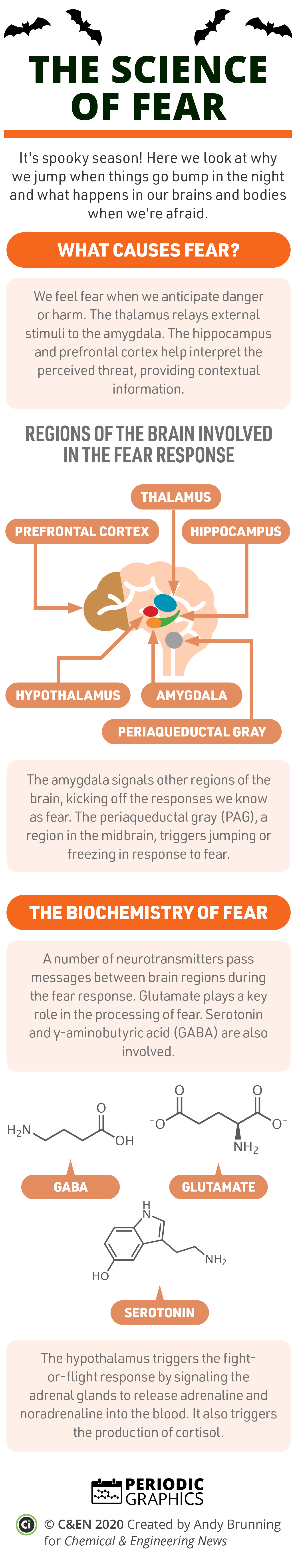 This is an image of a Periodic Graphic about fear.