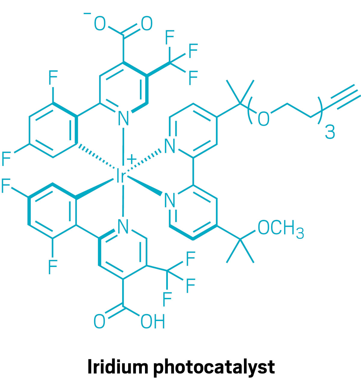 A structure of the iridium photocatalyst used in MicroMapping, a technique for mapping protein-protein interactions.
