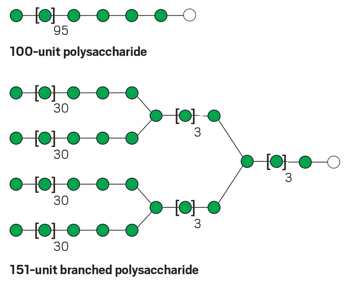 structure of polysaccharide