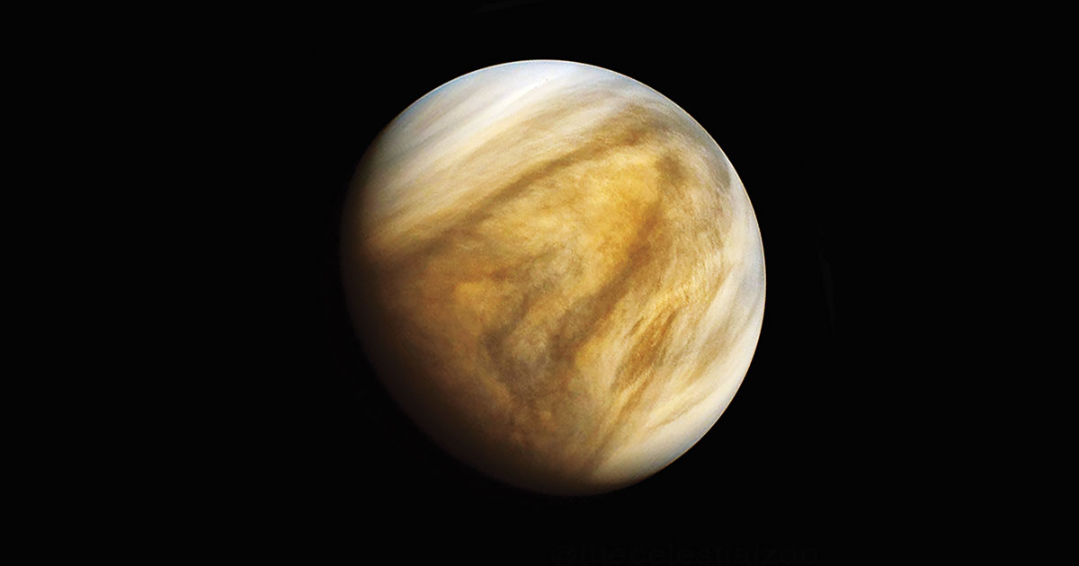 What can we learn from Venus?