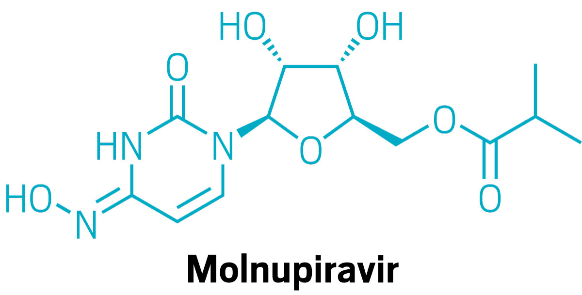 Structure of molnupiravir.